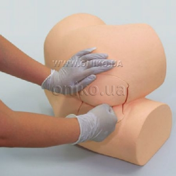 Digital Rectal Examination Simulator