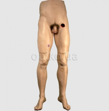 Trenér traumatizace dolní části těla