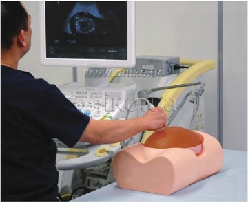 Симулятори ультразвукової діагностики