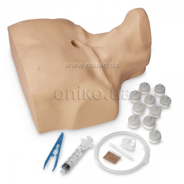 Adult Sternal Intraosseous Infusion Simulator