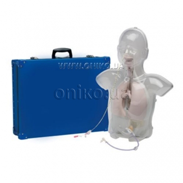 Pediatric nasogastric feeding trainer