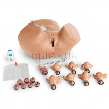 Gynecological Simulator