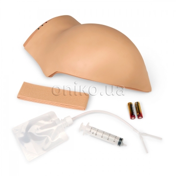 Intramuscular Buttock Injection Trainer
