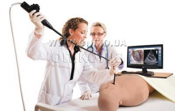 CAE Vimedix-komplexní ultrazvuk cvičení