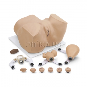 Gynecological Training Manikin