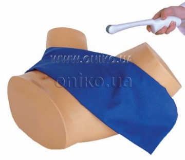 Training Simulator Pro transvaginální ultrazvuk