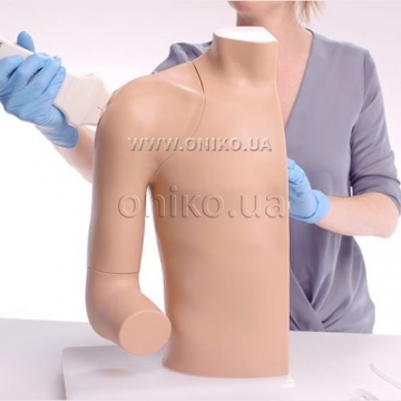 Simulátor intraartikálních injekcí pod úzkým ramenním kloubem