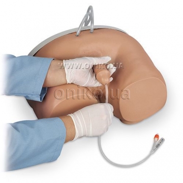 Male Catheterization Simulator