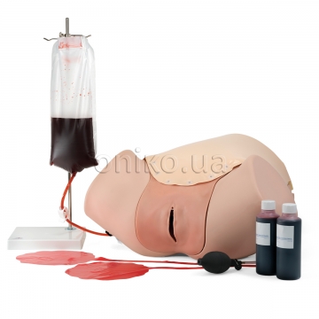 Postpartum Hemorrhage Trainer