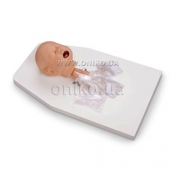 Infant Airway Management Trainer with Stand