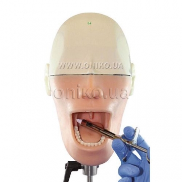 Oral Anesthesia Manikin