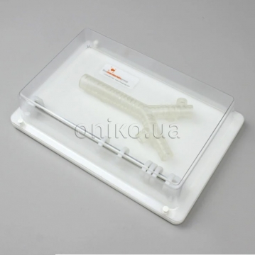 Тренажер трахеї з візуалізаційною базою