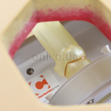 Корінь аорти, довжина 5,08 см, кільце 23 мм