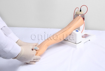 Intravenous Injection Training Arm Model