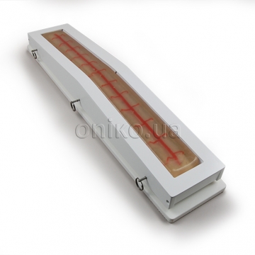 Прозора вставка для тренажера великої підшкірної вени