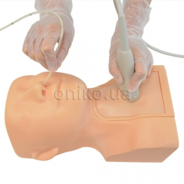 Ultrasound Guided Tube Feeding Phantom