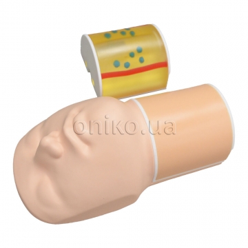 Thyroid Biopsy Phantom
