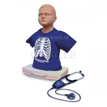 Pediatric auscultation trainer