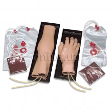 IV Training Arm and Hand Set