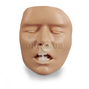 Airway Trainer