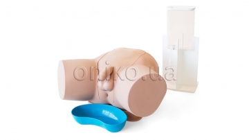 Male Catheterization Trainer