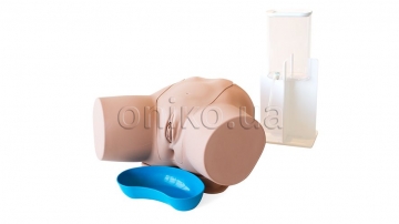 Female Catheterization Trainer