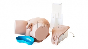 Standard Catheterization Trainer Set