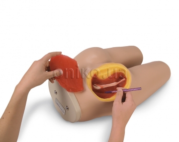 Intramuscular Injection Simulator