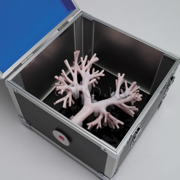 Bronchoscopy Training Model