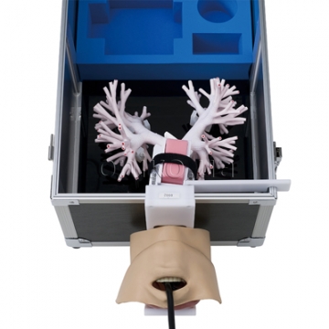 Тренажер для відпрацювання ультразвукової бронхоскопії