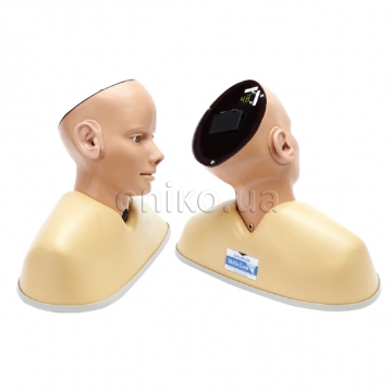 Digital Ear Examination Trainer