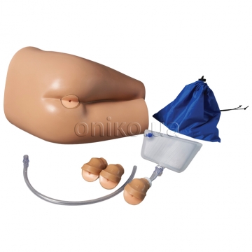 Rectal examination, stool assessment and enema training model