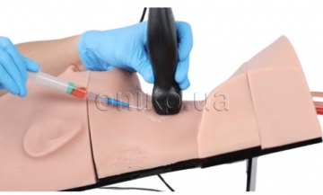 Simulátor pro zavedení žilního katétru pod ultrazvukovou kontrolou