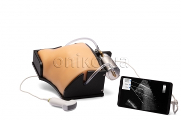 Ultrazvukový simulátor plic COVID-19