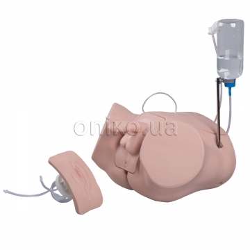 Catheterization Trainer Set