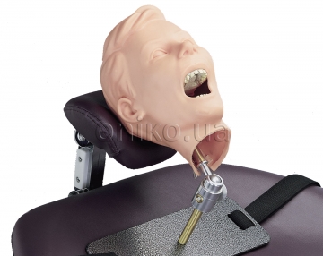 Dentální figurína, pediatrický radiografický