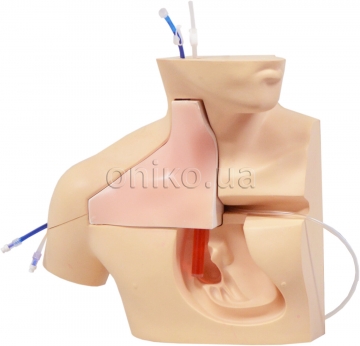 CVC Insertion Simulator