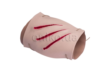 Model simulace útoku divokých zvířat