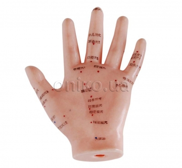 Hand Acupuncture Model, 13 cm