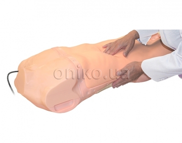 Abdominal Simulator for Examination