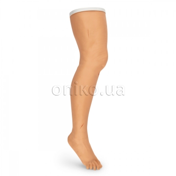 Model nohy s chirurgickým stehem