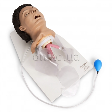 Adult Airway Management Trainer with Stand