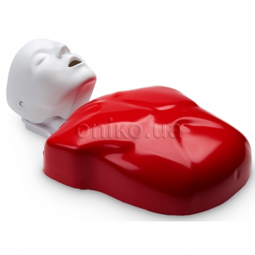 Basic Buddy – Single CPR Manikin