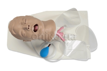 Adult Airway Management Trainer Head