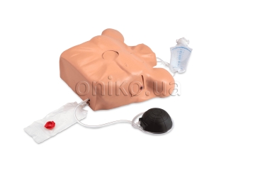 Pericardiocentesis Simulator with Chest Tube and Pneumothorax