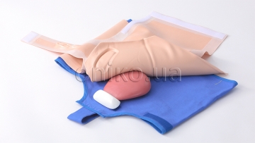 Puerperal Uterus Palpation Training Model