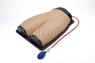 Vascular Access and Regional Anesthesia Ultrasound Training Model