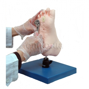 Medical Foot Care Simulator