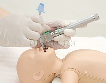 Neonatal CPR Simulator