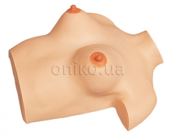 Simulátor pro masáž prsu